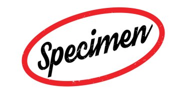 Numune pencere boyutu