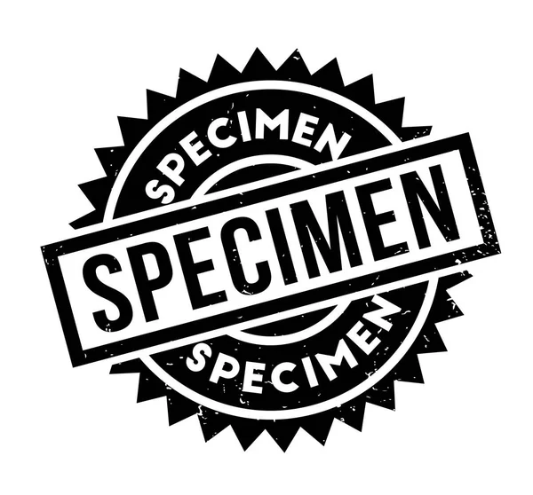 Numune pencere boyutu