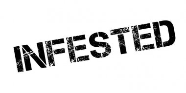 Musallat pencere boyutu