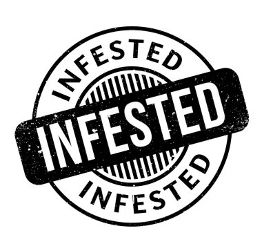 Musallat pencere boyutu