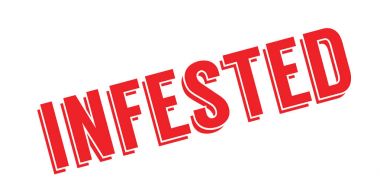 Musallat pencere boyutu