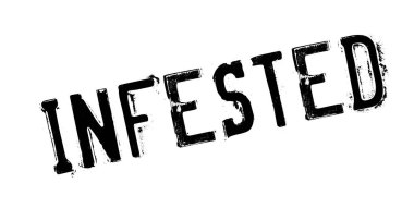 Musallat pencere boyutu