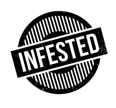 Musallat pencere boyutu