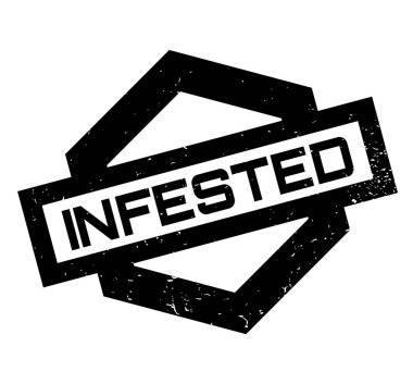 Musallat pencere boyutu