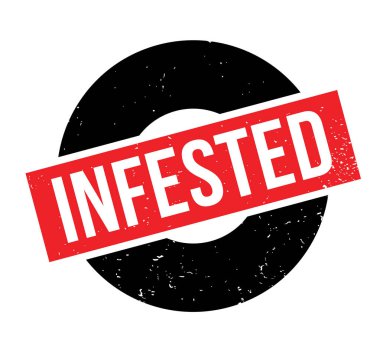 Musallat pencere boyutu