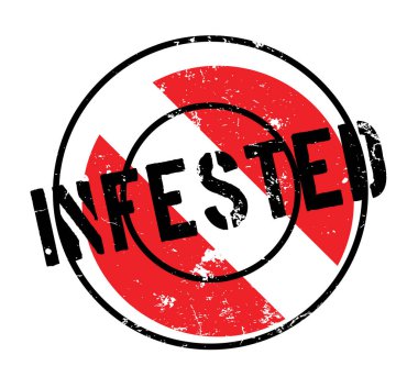 Musallat pencere boyutu