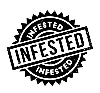 Musallat pencere boyutu