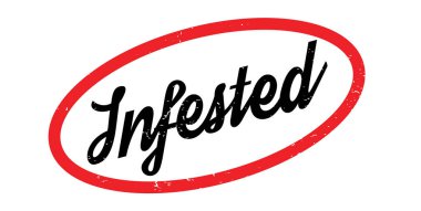 Musallat pencere boyutu