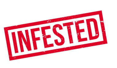 Musallat pencere boyutu