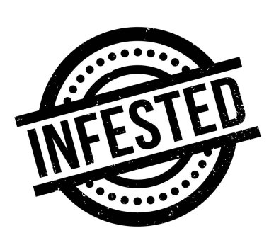 Musallat pencere boyutu