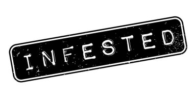 Musallat pencere boyutu