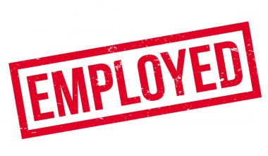 İstihdam pencere boyutu