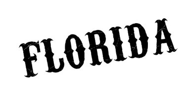 Florida pencere boyutu