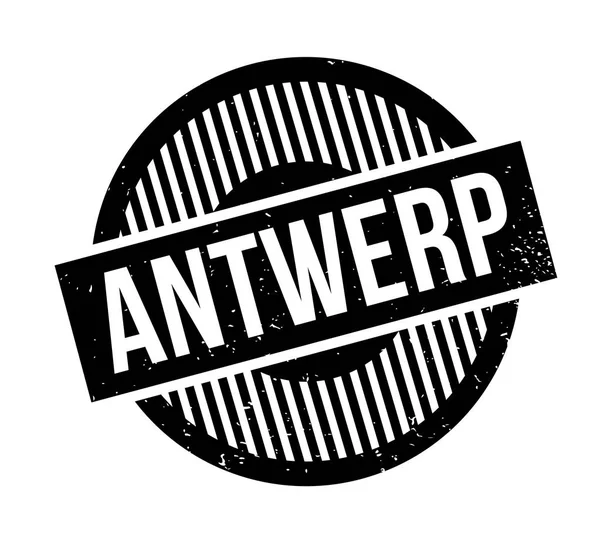 Antwerp pencere boyutu — Stok Vektör