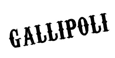 Gelibolu pencere boyutu