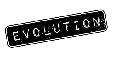 Evrim pencere boyutu