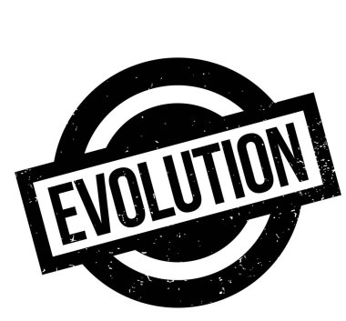 Evrim pencere boyutu