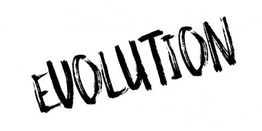 Evrim pencere boyutu