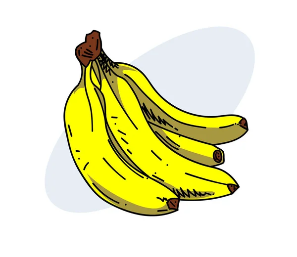 Banana paquete dibujado a mano imagen — Vector de stock