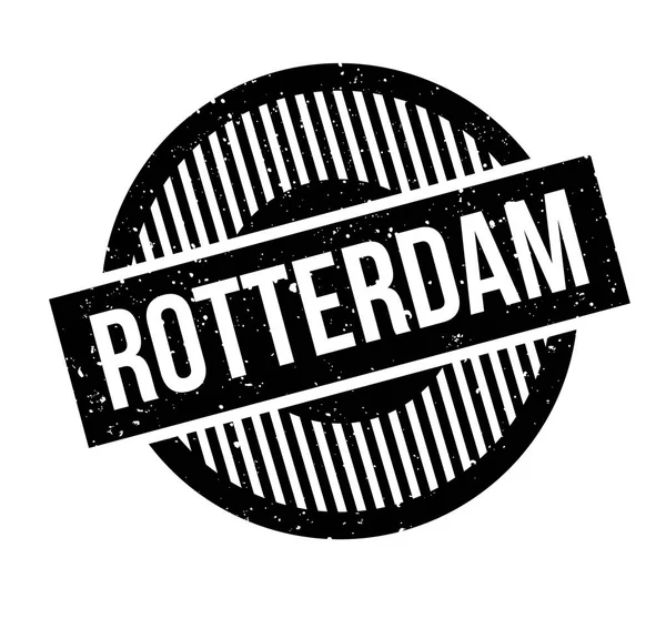 Rotterdam pencere boyutu