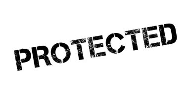 Korumalı pencere boyutu