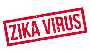 zika virüs pencere boyutu