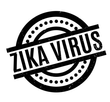 zika virüs pencere boyutu