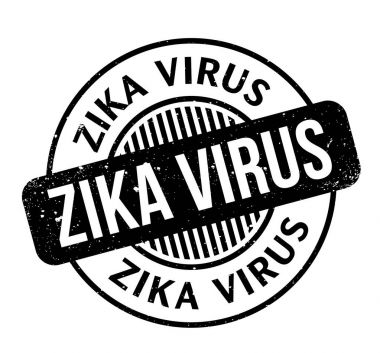 zika virüs pencere boyutu