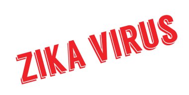 zika virüs pencere boyutu