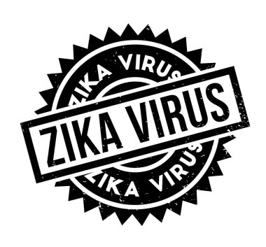 zika virüs pencere boyutu