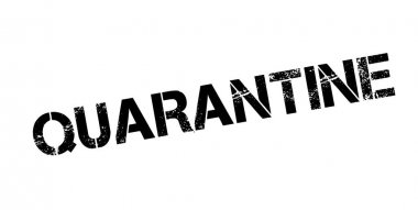 Karantina pencere boyutu