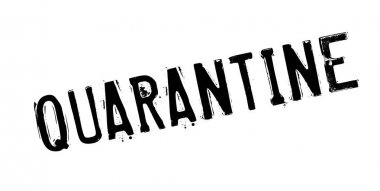 Karantina pencere boyutu