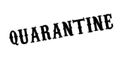 Karantina pencere boyutu