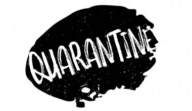 Karantina pencere boyutu