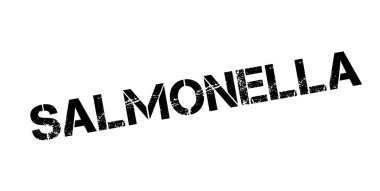 Salmonella pencere boyutu