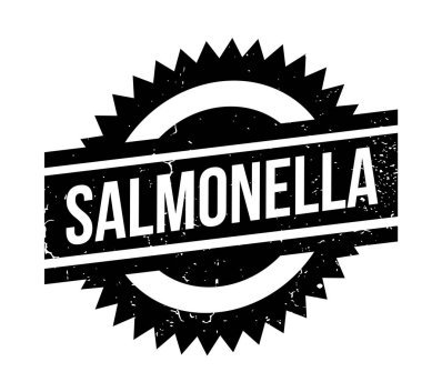 Salmonella pencere boyutu