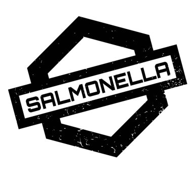 Salmonella pencere boyutu