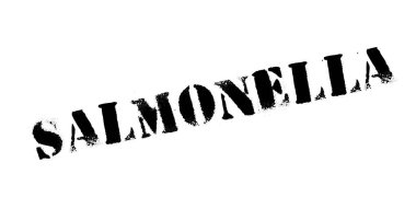 Salmonella pencere boyutu