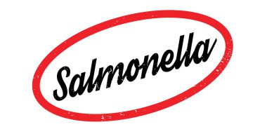 Salmonella pencere boyutu