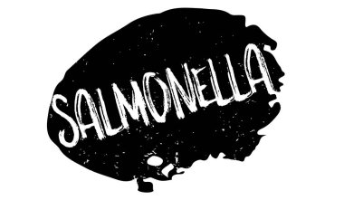 Salmonella pencere boyutu