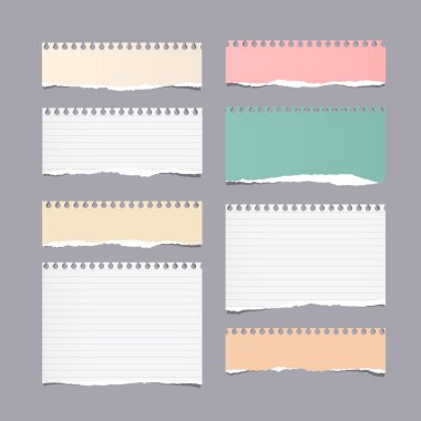 Yırtık farklı boyutu renkli Not, not defteri, boşaltmak kağıt sayfalarının adet gri arka plan üzerinde sıkışmış