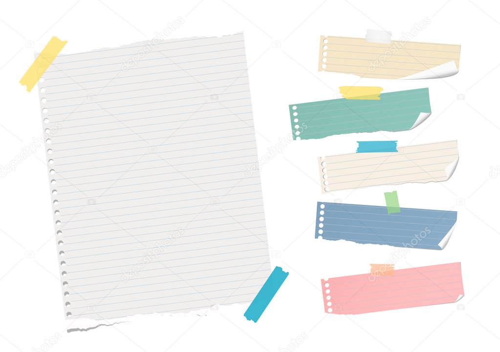 Ripped ruled colorful note, notebook, copybook paper sheet, strips stuck with sticky tape on white background