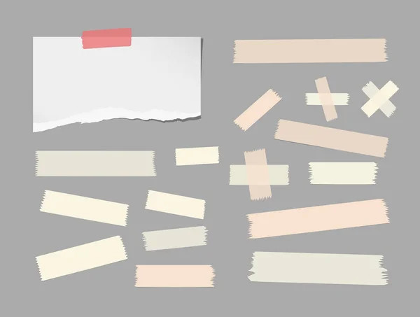 Carnet blanc déchiré, copybook, bande de papier de note, brun collant, ruban adhésif collé sur fond gris — Image vectorielle