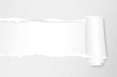 Haddelenmiş ve kopyalanmış beyaz defter kağıt levha. Vektör çizim