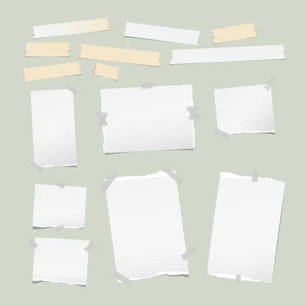 Nota blanca rasgada, cuaderno, tiras de papel de copybook, pegajoso, cinta adhesiva, fondo verde claro pegado . — Vector de stock