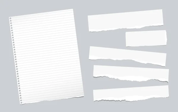 Ripped note, notebook, copybook paper sheets, strips, stuck on gray background. — Stock Vector