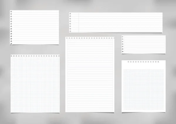 Blanco rayado, regla, nota cuadrada, copybook, papel de cuaderno pegado sobre fondo gris . — Vector de stock