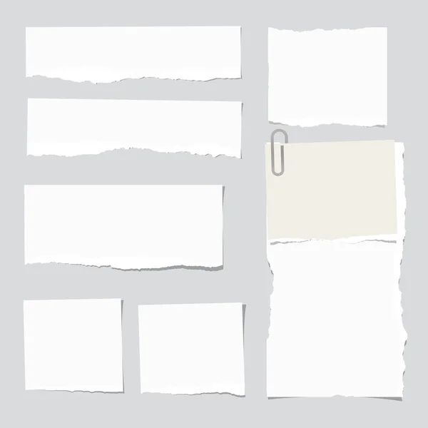 Tiras de notas brancas rasgadas, caderno, folha de papel do livro de recortes presa no fundo cinza . —  Vetores de Stock