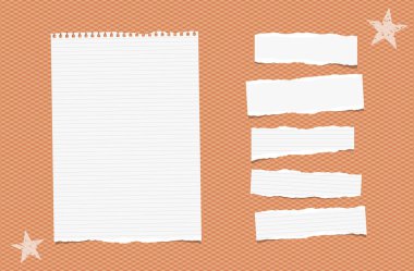 Beyaz yırtık çizgili kağıt şeritler, levha, defter, Not için metin veya sıkışmış teyp turuncu kare zemin üzerine mesaj.