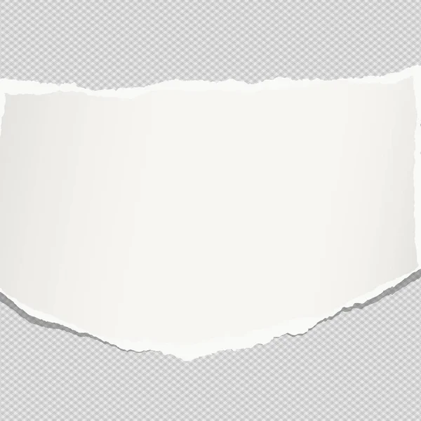 撕开，笔记本纸，说明用于文本或邮件停留在灰色的平方背景上的白色. — 图库矢量图片